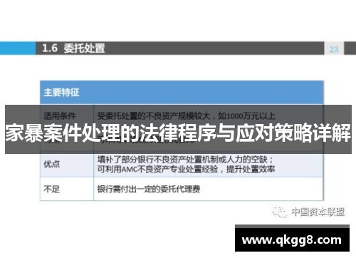 家暴案件处理的法律程序与应对策略详解