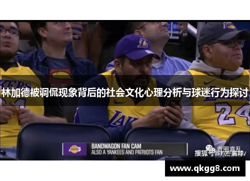 林加德被调侃现象背后的社会文化心理分析与球迷行为探讨